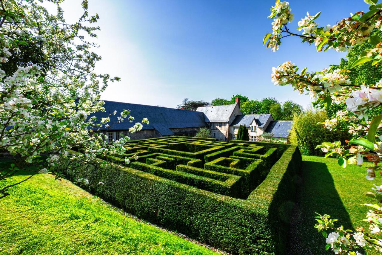 Chateau De Noirieux Briollay Dış mekan fotoğraf